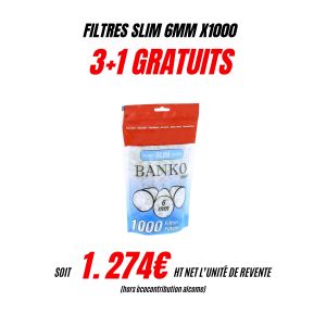 Filtres Banko slim 1000 3+1